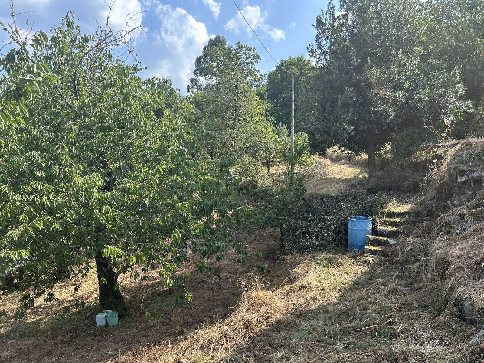 7 soveværelse Finca/Landehus til salg i Punxin - € 590.000 (Ref: 9132794)