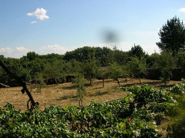 5 sovrum Finca/Hus på landet till salu i O Saviñao med garage - 120 000 € (Ref: 9237699)