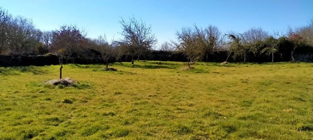 5 sovrum Finca/Hus på landet till salu i O Saviñao med garage - 120 000 € (Ref: 9237699)