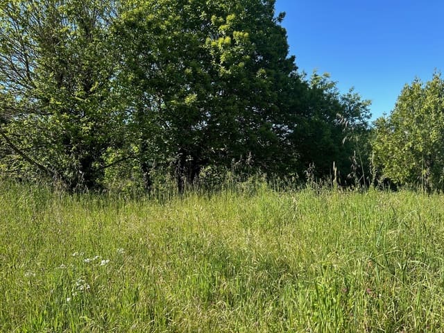 4 slaapkamer Finca/Landhuis te koop in Baños de Molgas - € 95.000 (Ref: 9383326)