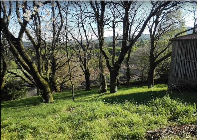 Finca/Casa Rural de 4 habitaciones en Carballedo en venta con garaje - 125.000 € (Ref: 9588120)