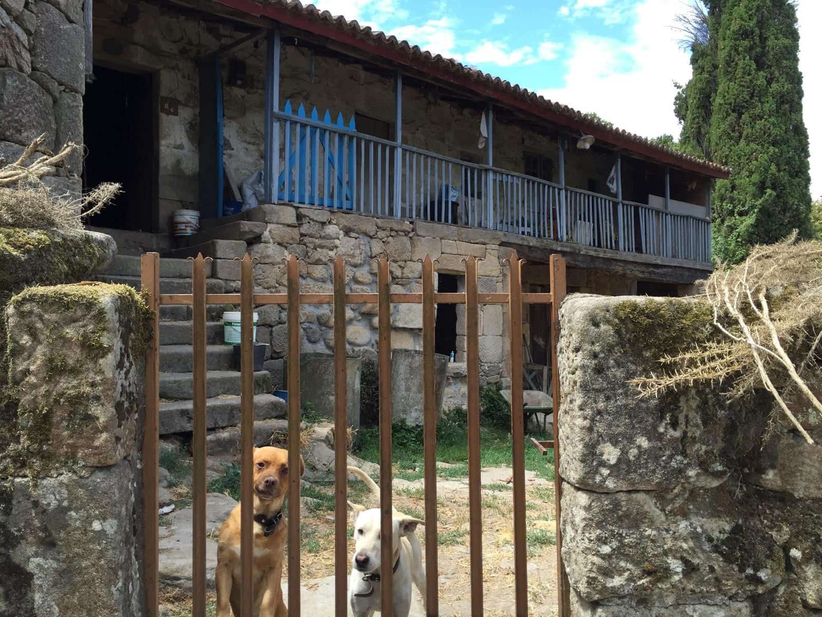 6 sovrum Finca/Hus på landet till salu i Ourense stad - 1 336 000 € (Ref: 9602889)