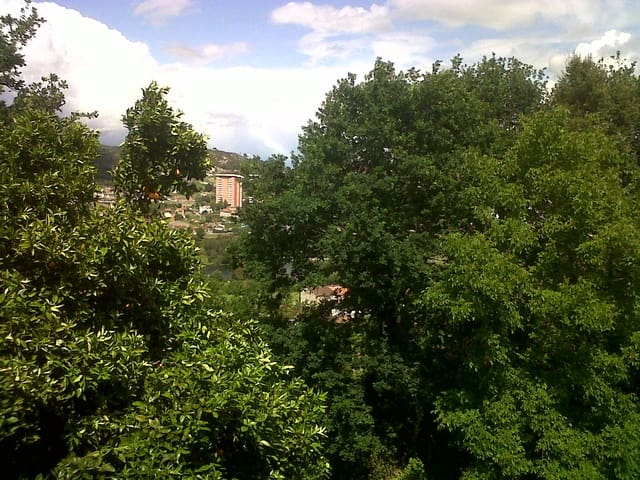 6 sovrum Finca/Hus på landet till salu i Ourense stad - 1 336 000 € (Ref: 9602889)