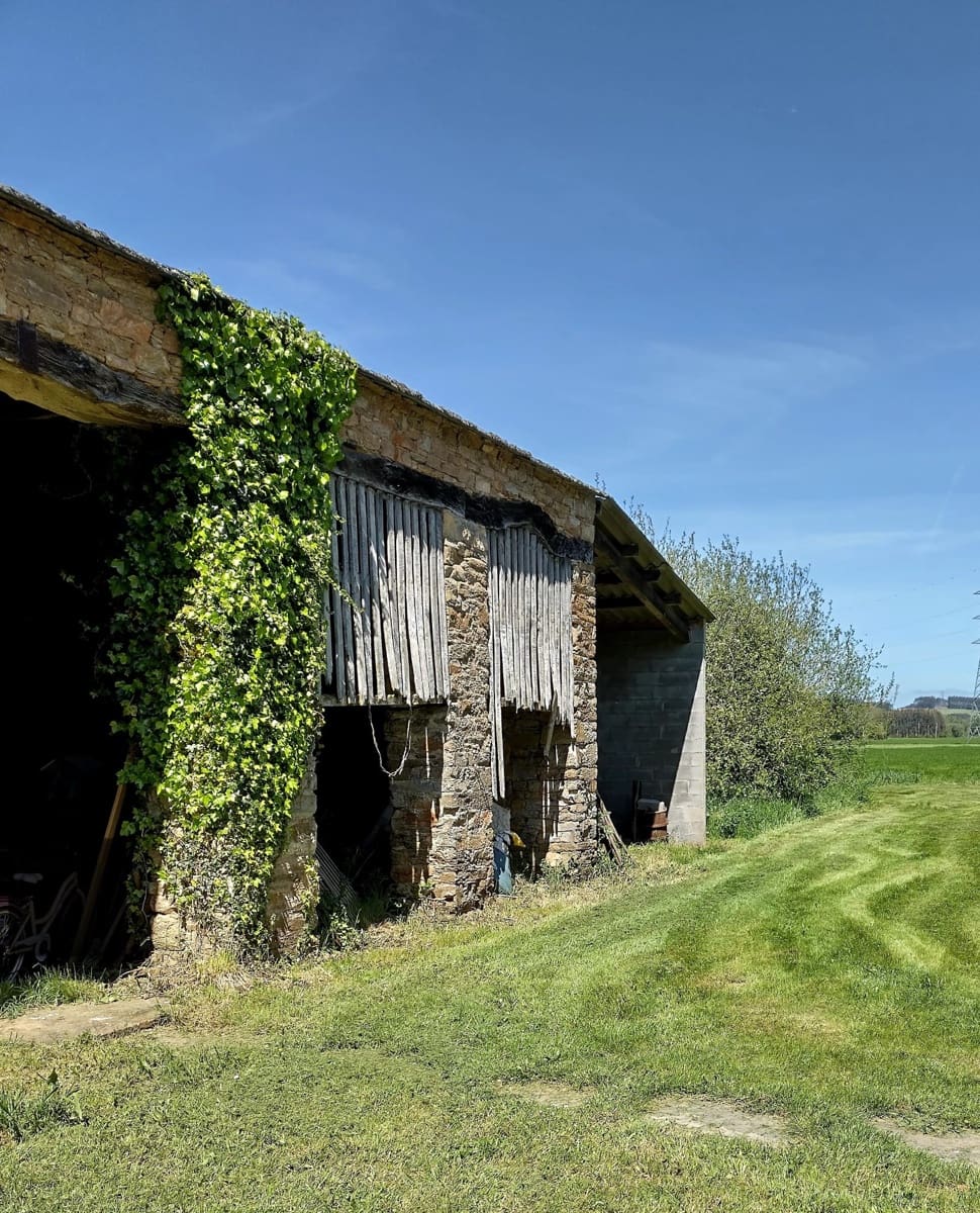 5 Zimmer Finca/Landgut zu verkaufen in Castro de Rei - 379.000 € (Ref: 9667141)