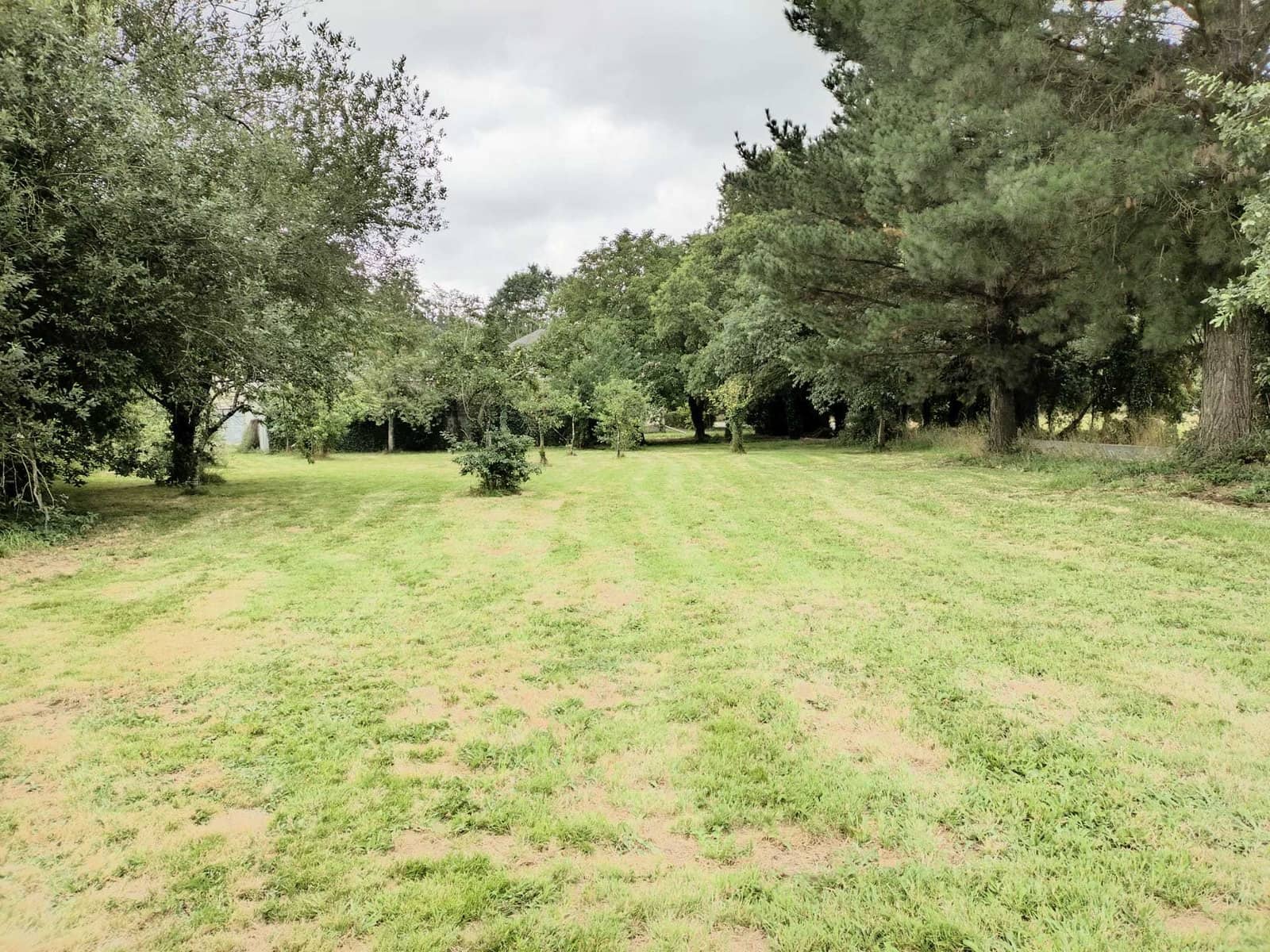 5 Zimmer Finca/Landgut zu verkaufen in Castro de Rei - 379.000 € (Ref: 9667141)