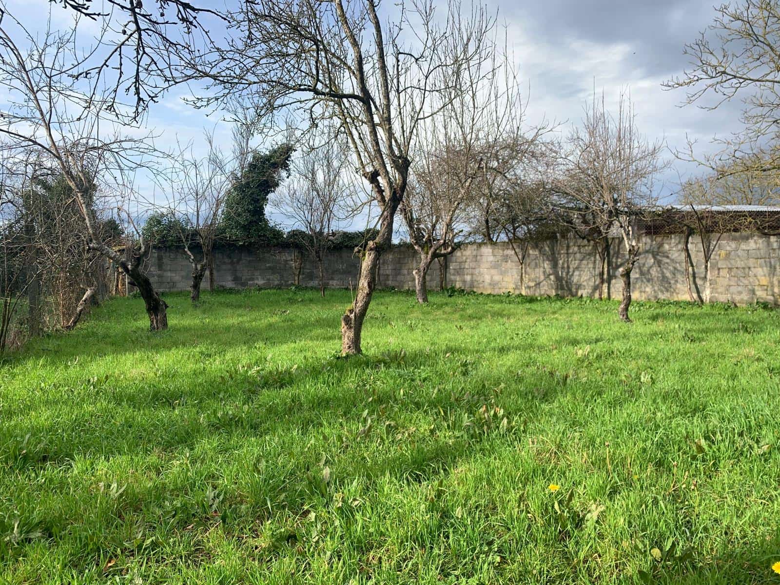 5 sypialnia Finka/Dom wiejski na sprzedaż w Boveda z garażem - 185 000 € (Ref: 9671199)