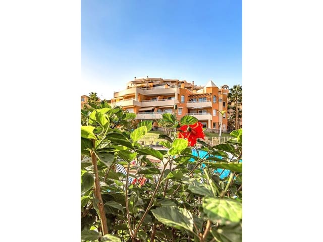 Apartamento de 1 habitación en La Caleta Adeje, Adeje en venta con piscina - 495.000 € (Ref: 9896602)