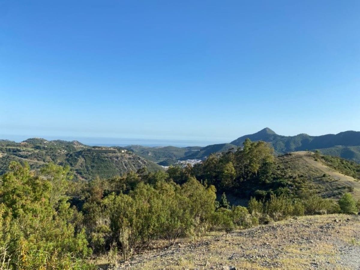 Building Plot for sale in La Zagaleta - € 7,000,000 (Ref: 10078665)