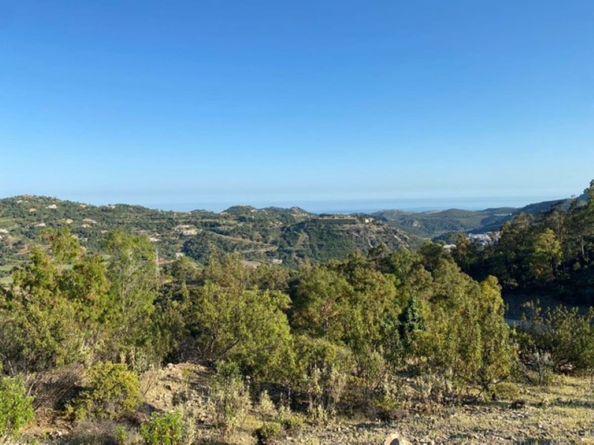 Building Plot for sale in La Zagaleta - € 7,000,000 (Ref: 10078665)