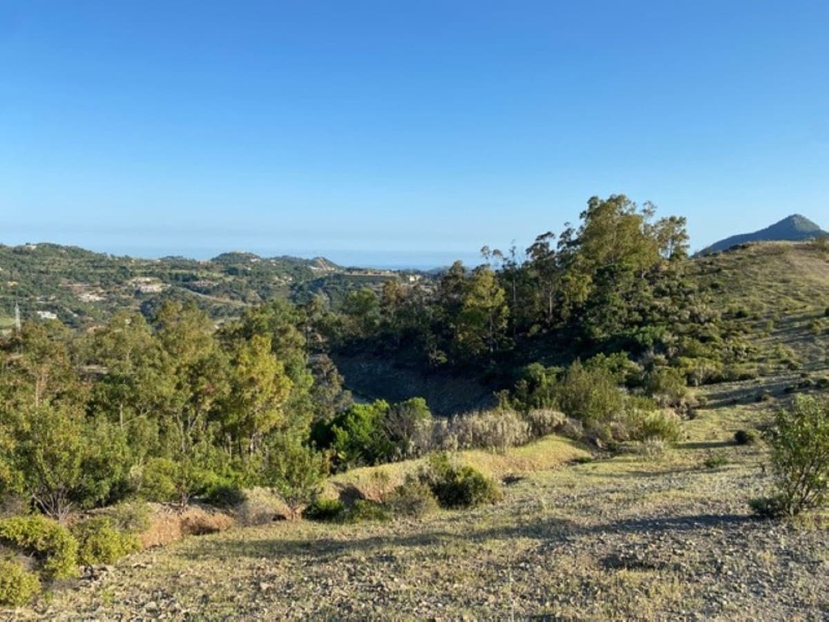Building Plot for sale in La Zagaleta - € 7,000,000 (Ref: 10078665)