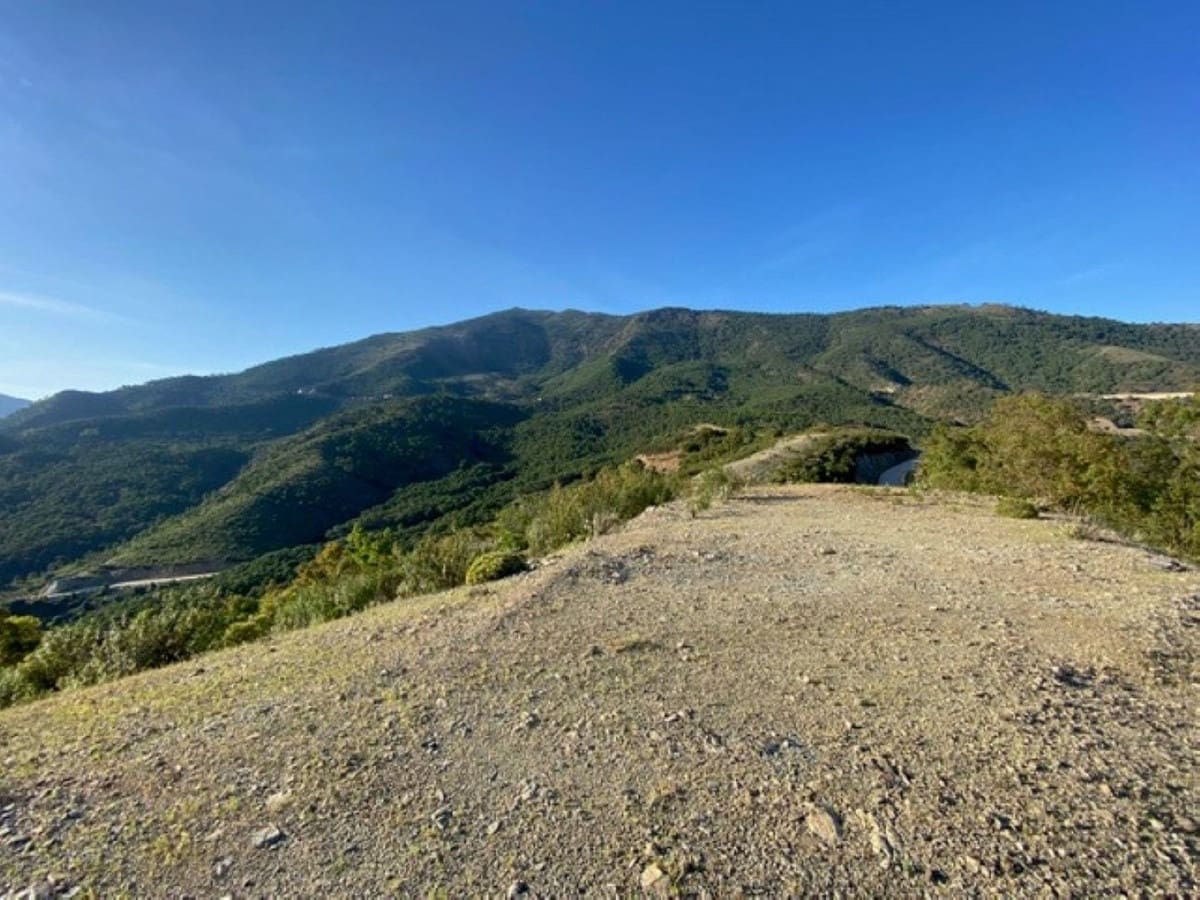 Building Plot for sale in La Zagaleta - € 7,000,000 (Ref: 10078665)