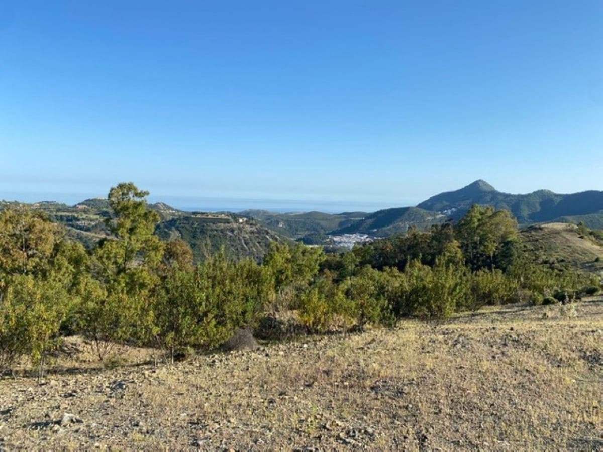 Building Plot for sale in La Zagaleta - € 7,000,000 (Ref: 10078665)