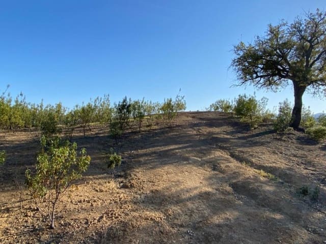 Building Plot for sale in La Zagaleta, Benahavís - € 7,000,000 (Ref: 10078665)