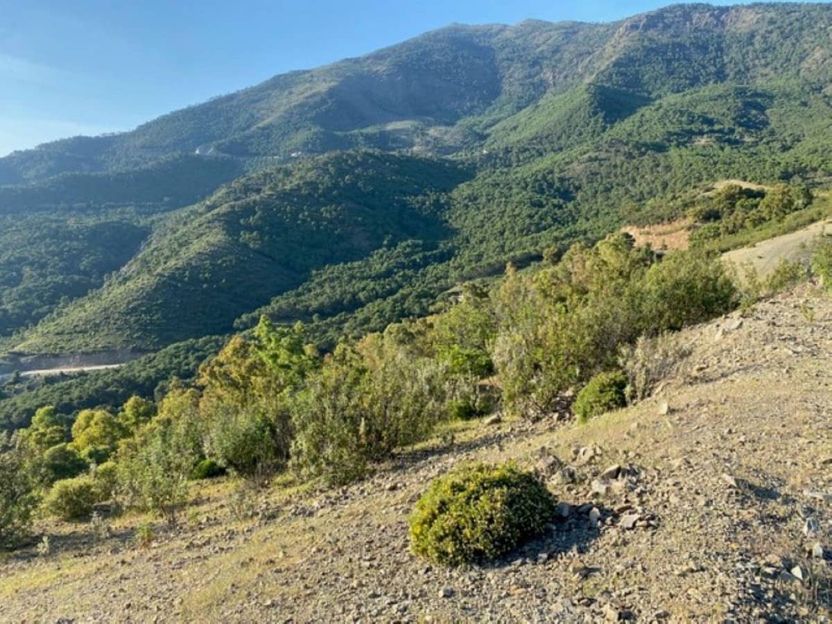 Building Plot for sale in La Zagaleta - € 7,000,000 (Ref: 10078665)