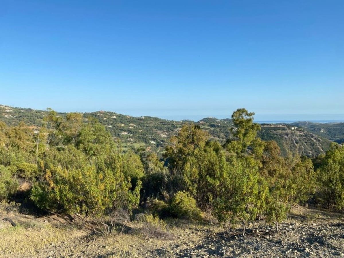 Building Plot for sale in La Zagaleta - € 7,000,000 (Ref: 10078665)