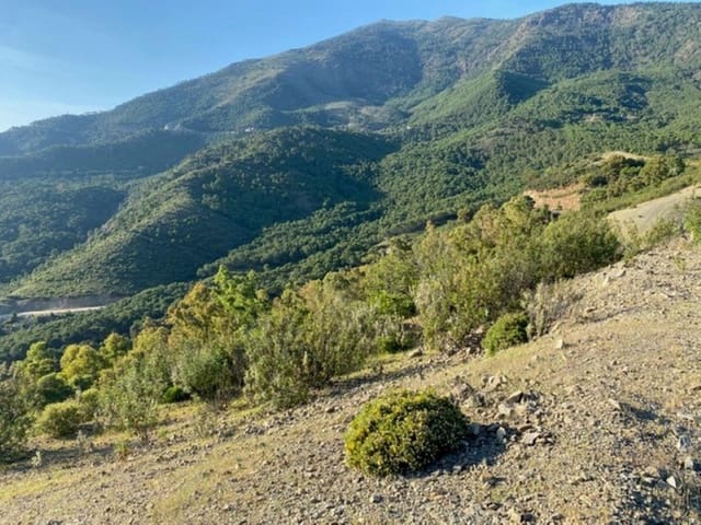 Building Plot for sale in La Zagaleta, Benahavís - € 7,000,000 (Ref: 10078665)