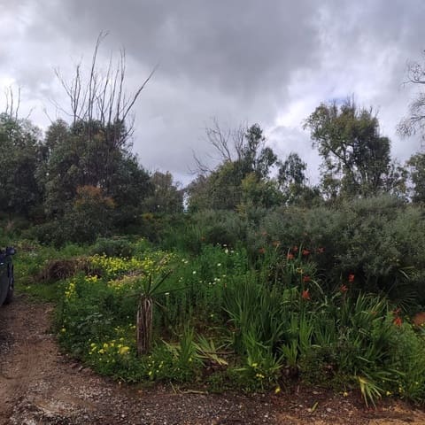 Terreno para Construção para venda em Chullera, Manilva - 950 000 € (Ref: 10078668)
