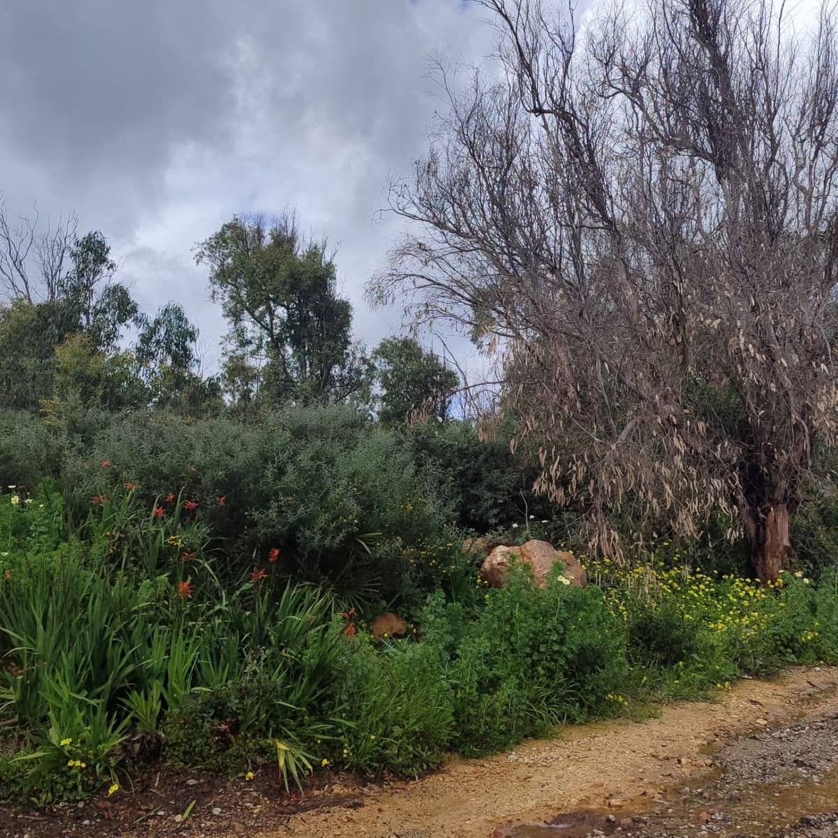 Terreno para Construção para venda em Manilva - 950 000 € (Ref: 10078668)