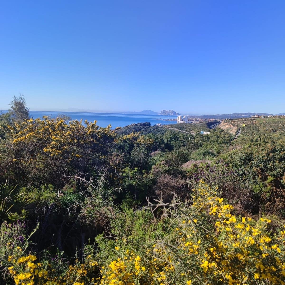 Terreno para Construção para venda em San Roque - 199 000 € (Ref: 10078669)
