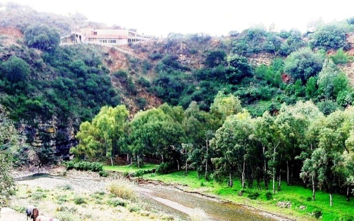 7 sypialnia Finka/Dom wiejski na sprzedaż w Campo Mijas z basenem garażem - 900 000 € (Ref: 10078675)