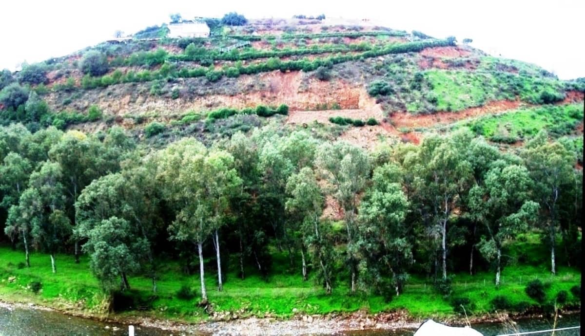 7 sypialnia Finka/Dom wiejski na sprzedaż w Campo Mijas z basenem garażem - 900 000 € (Ref: 10078675)