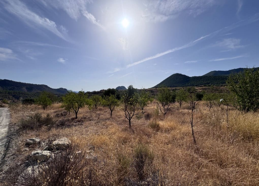 Finca/Landgut zu verkaufen in Abaran - 73.000 € (Ref: 10004673)