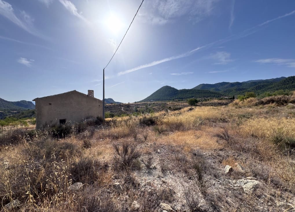 Finca/Landgut zu verkaufen in Abaran - 73.000 € (Ref: 10004673)