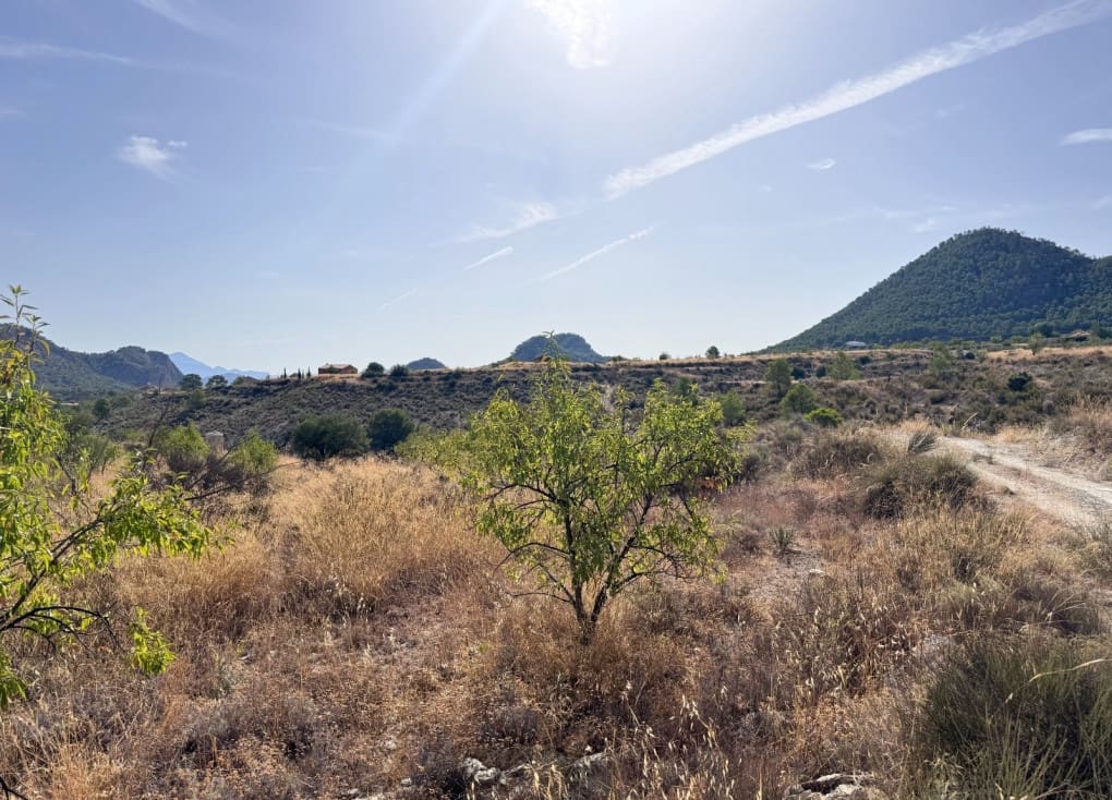 Finca/Landgut zu verkaufen in Abaran - 73.000 € (Ref: 10004673)