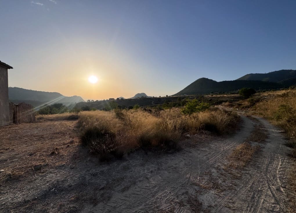 Finca/Landgut zu verkaufen in Abaran - 73.000 € (Ref: 10004673)