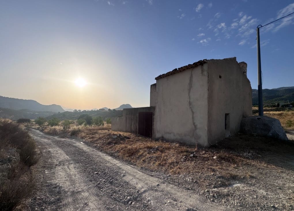 Finca/Landgut zu verkaufen in Abaran - 73.000 € (Ref: 10004673)