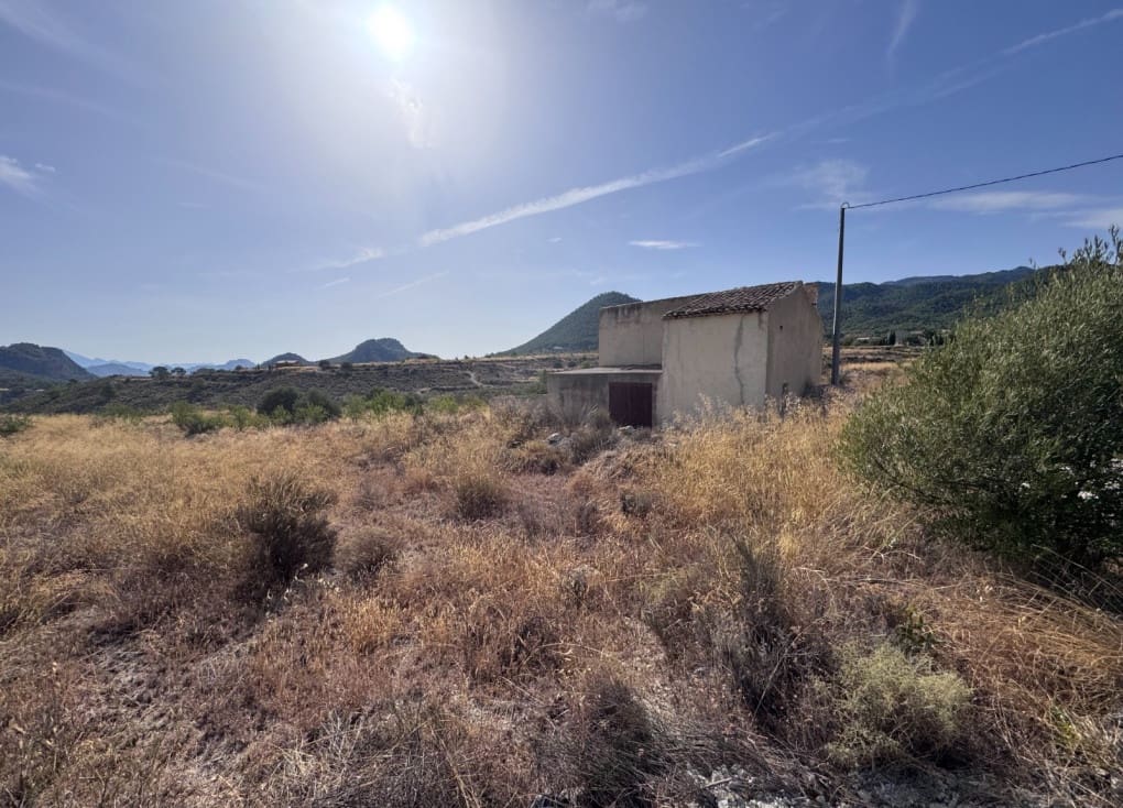 Finca/Landgut zu verkaufen in Abaran - 73.000 € (Ref: 10004673)