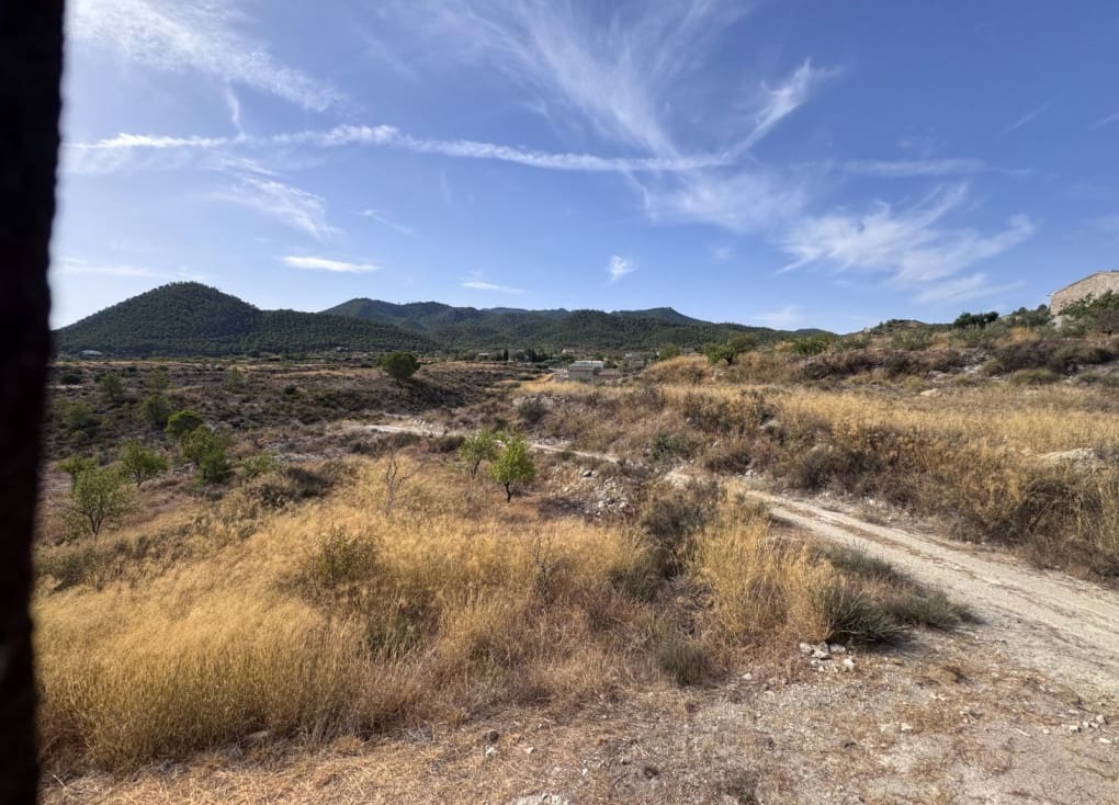 Finca/Landgut zu verkaufen in Abaran - 73.000 € (Ref: 10004673)
