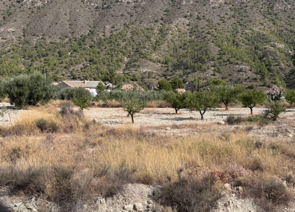 Finca/Landgut zu verkaufen in Abaran - 73.000 € (Ref: 10004673)
