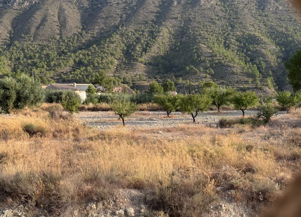 Finca/Landgut zu verkaufen in Abaran - 73.000 € (Ref: 10004673)