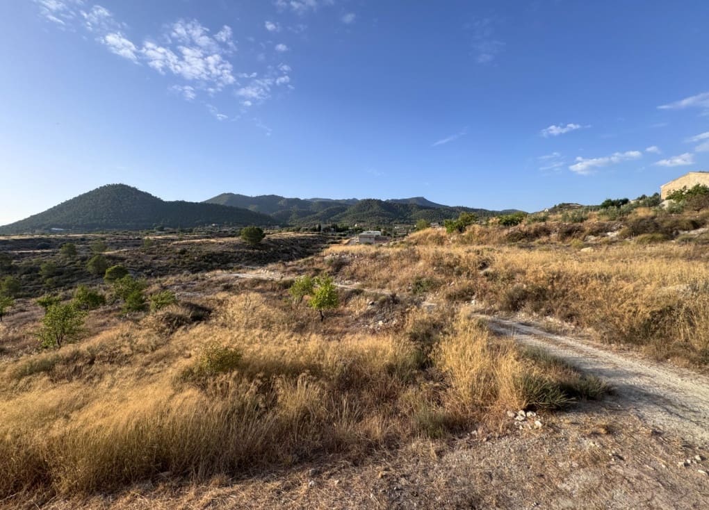 Finca/Landgut zu verkaufen in Abaran - 73.000 € (Ref: 10004673)