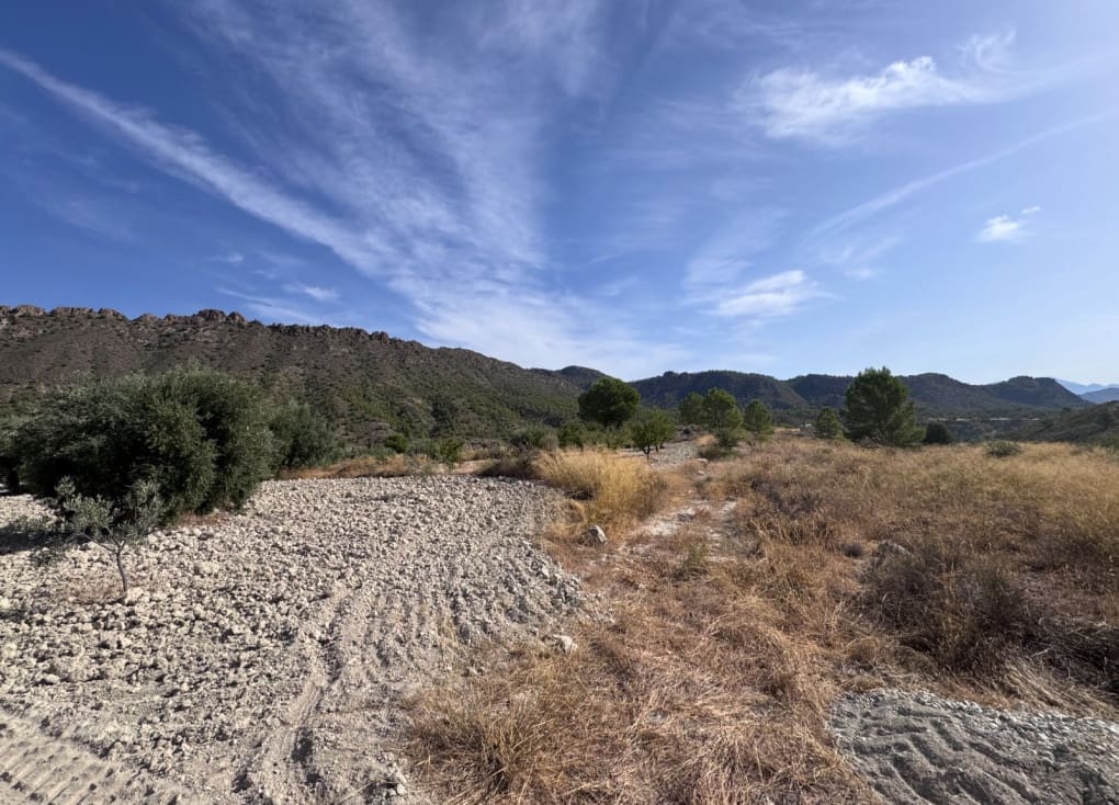 Finca/Landgut zu verkaufen in Abaran - 73.000 € (Ref: 10004673)
