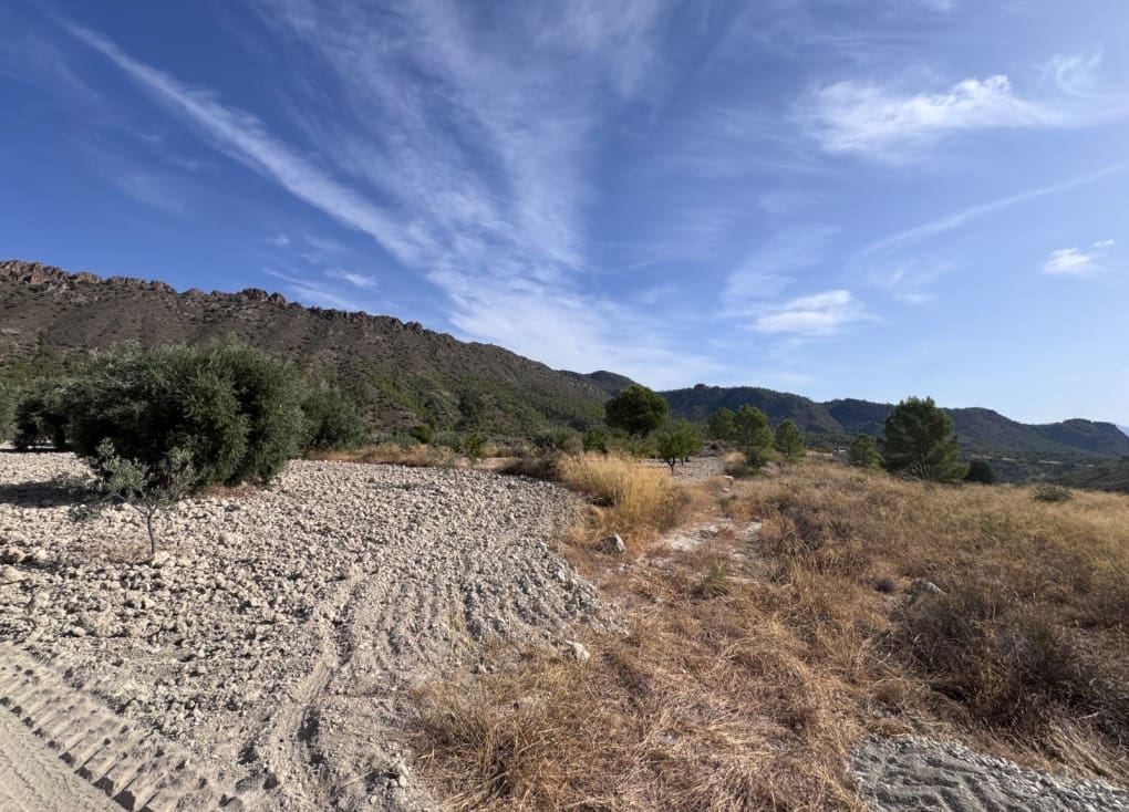 Finca/Landgut zu verkaufen in Abaran - 73.000 € (Ref: 10004673)