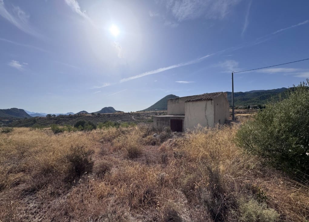 Finca/Landgut zu verkaufen in Abaran - 73.000 € (Ref: 10004673)