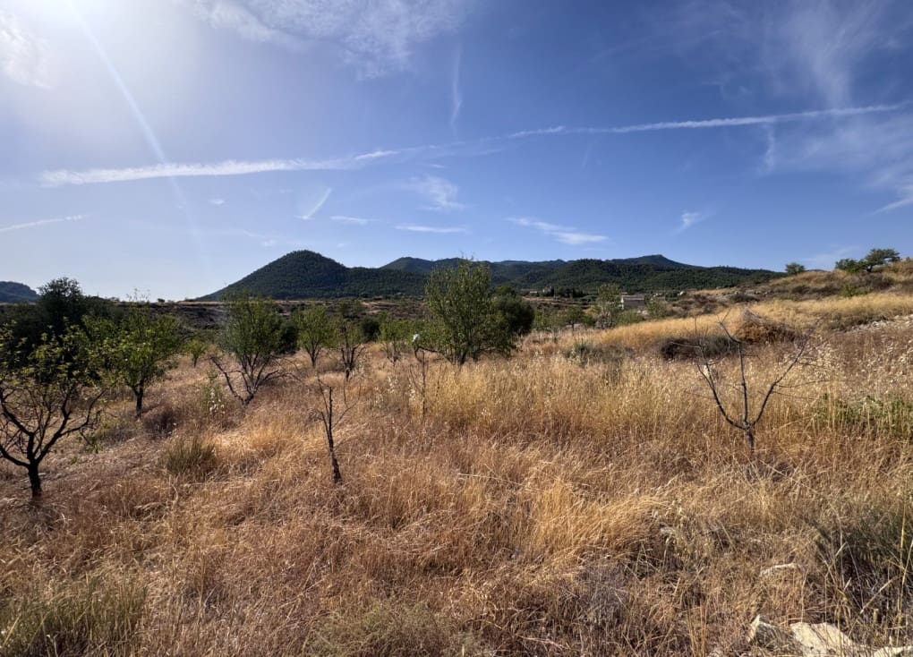 Finca/Landgut zu verkaufen in Abaran - 73.000 € (Ref: 10004673)