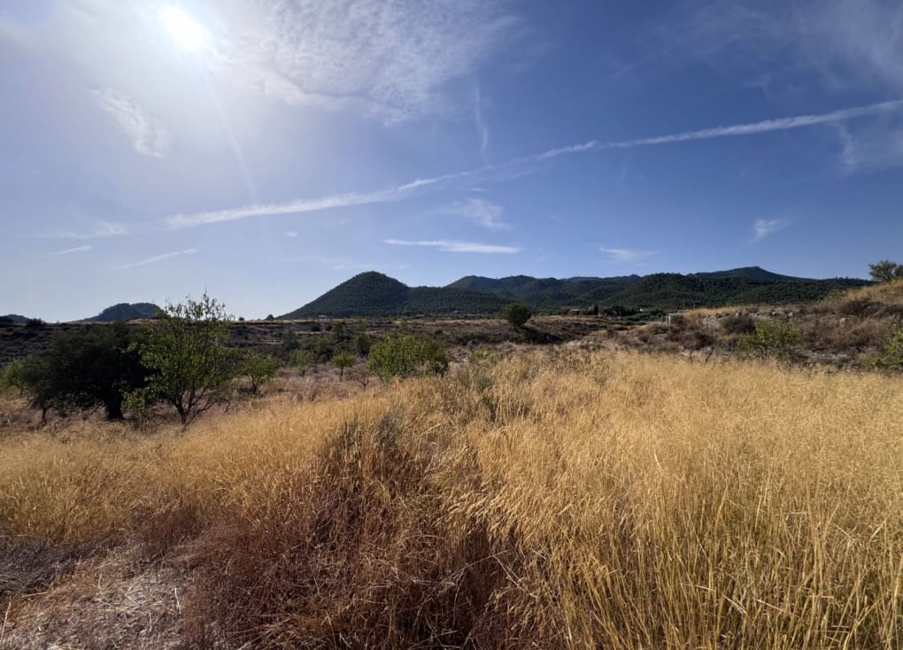 Finca/Landgut zu verkaufen in Abaran - 73.000 € (Ref: 10004673)