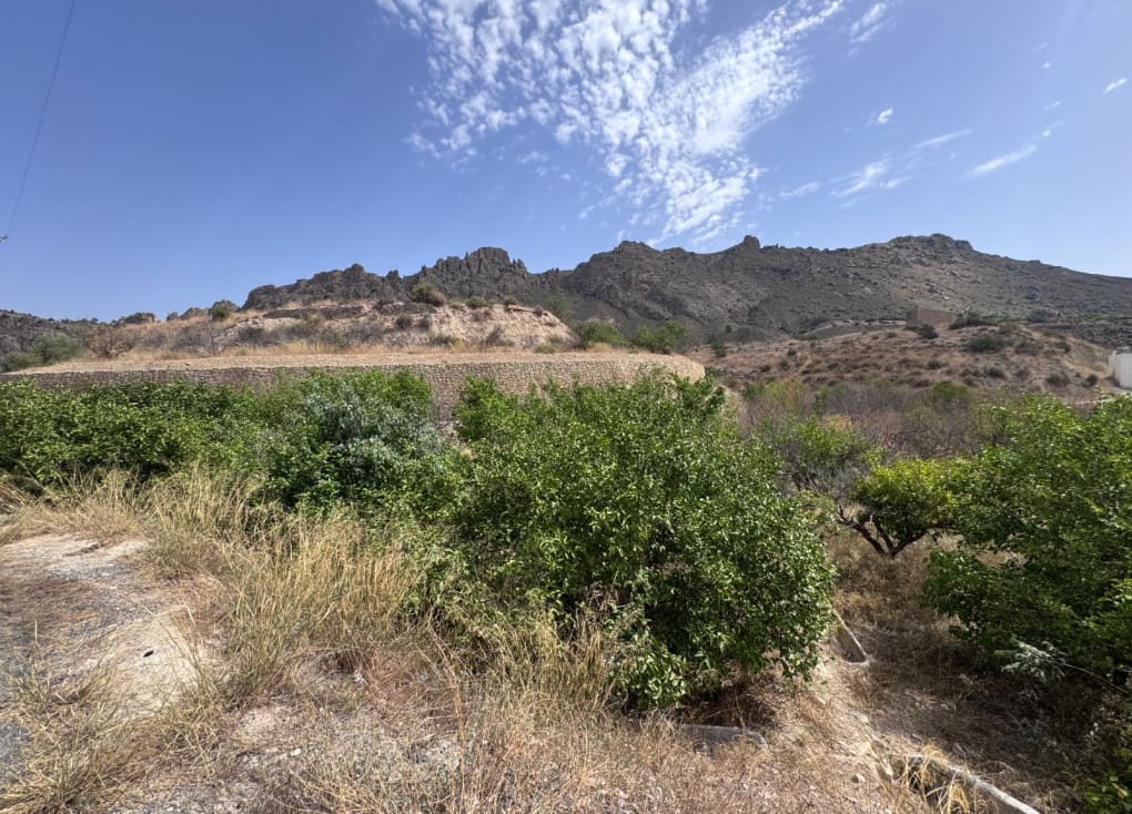 Bauplatz zu verkaufen in Abaran - 18.000 € (Ref: 10060946)