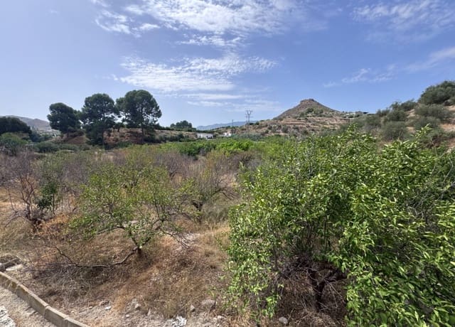 Bauplatz zu verkaufen in Abarán - 18.000 € (Ref: 10060946)