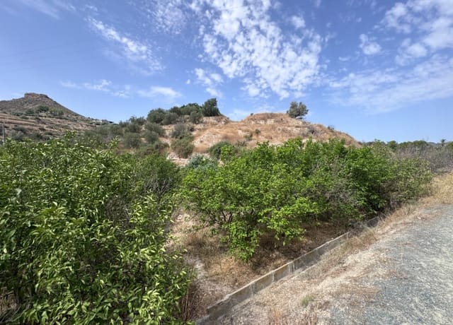 Bauplatz zu verkaufen in Abarán - 18.000 € (Ref: 10060946)