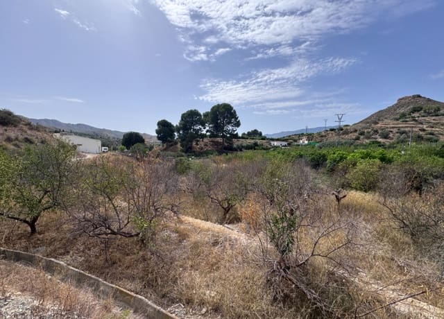 Bauplatz zu verkaufen in Abarán - 18.000 € (Ref: 10060946)