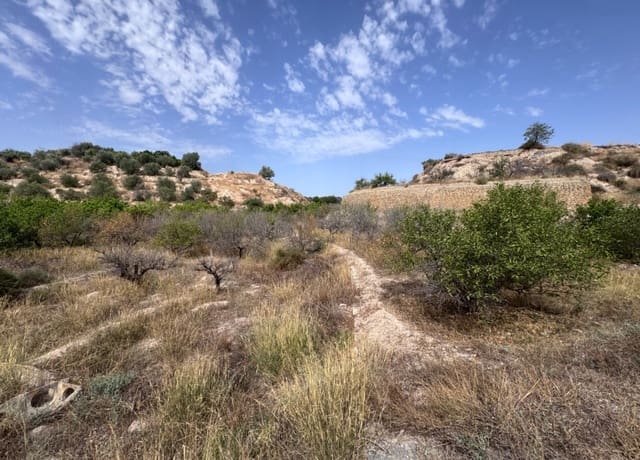 Bauplatz zu verkaufen in Abarán - 18.000 € (Ref: 10060946)