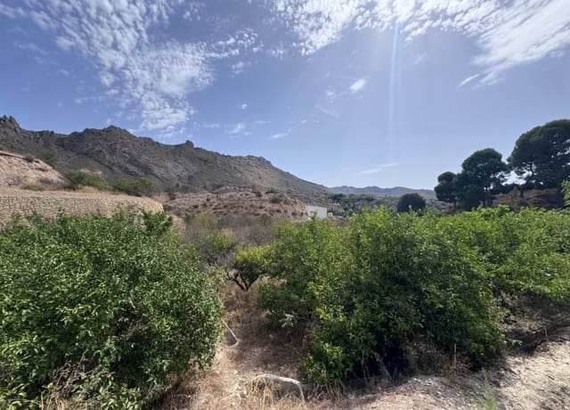 Bauplatz zu verkaufen in Abarán - 18.000 € (Ref: 10060946)