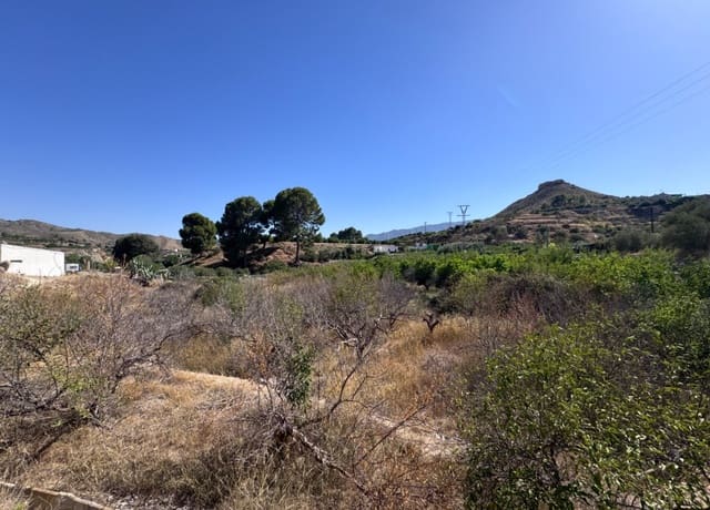Bauplatz zu verkaufen in Abarán - 18.000 € (Ref: 10060946)