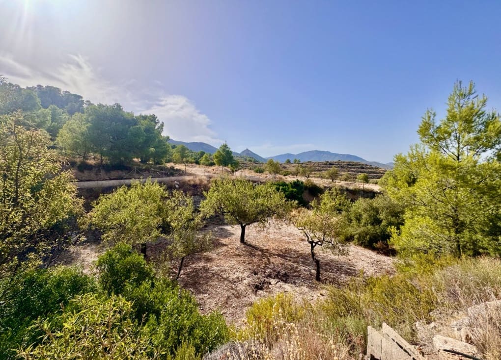 2 Zimmer Finca/Landgut zu verkaufen in Ricote mit Garage - 188.500 € (Ref: 10098562)