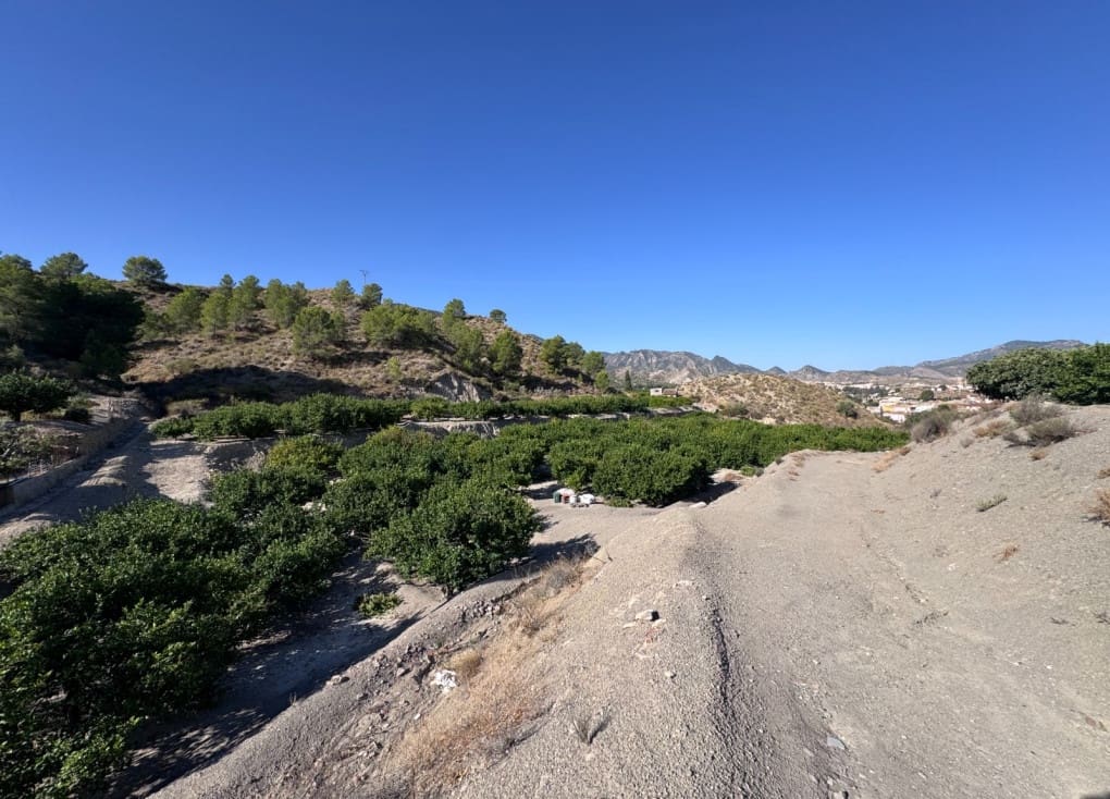 Terreno Non Edificato in vendita in Blanca - 30.000 € (Rif: 10147414)