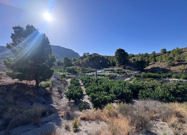 Terreno Non Edificato in vendita in Blanca - 30.000 € (Rif: 10147414)
